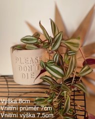 Betonový květináč s nápisem PLEASE DON´T DIE - prosím neumírej!