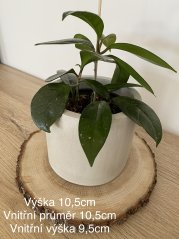 Betonový květináč velký