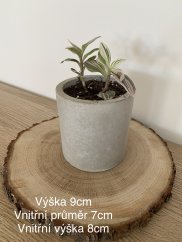 Betonový květináč malý