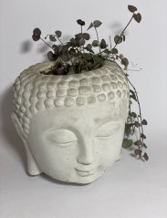 Betonový květináč Buddha