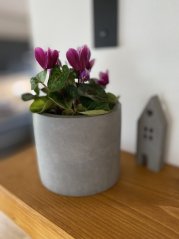 Betonový květináč velký