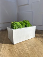 Betonový květináč se sobím mechem