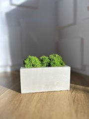 Betonový květináč se sobím mechem