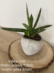 Betonový květináč RTY